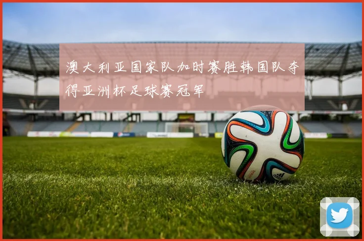 澳大利亚国家队加时赛胜韩国队夺得亚洲杯足球赛冠军