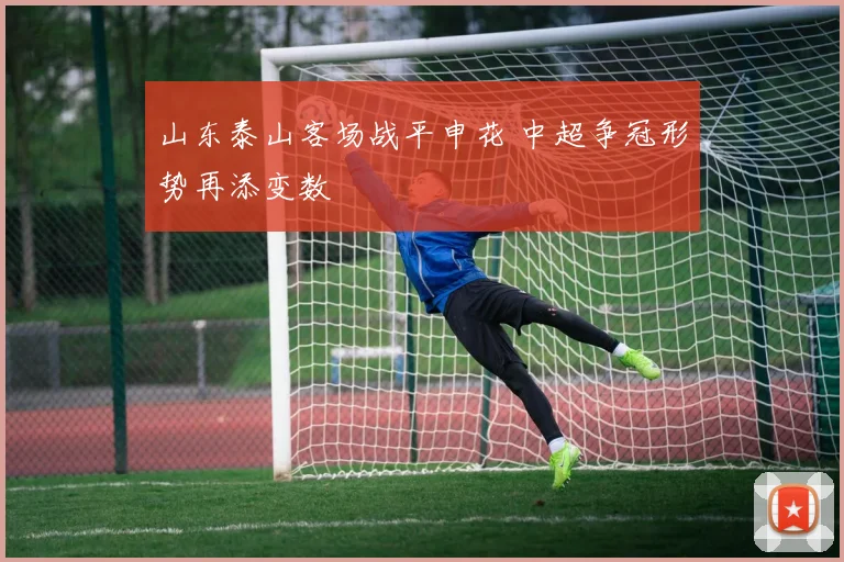 山东泰山客场战平申花 中超争冠形势再添变数