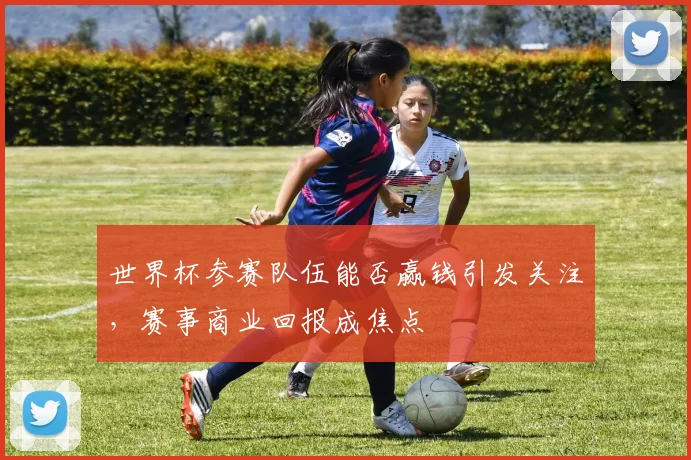 世界杯参赛队伍能否赢钱引发关注，赛事商业回报成焦点