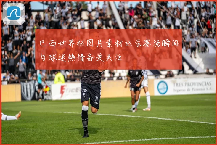 巴西世界杯图片素材记录赛场瞬间与球迷热情备受关注