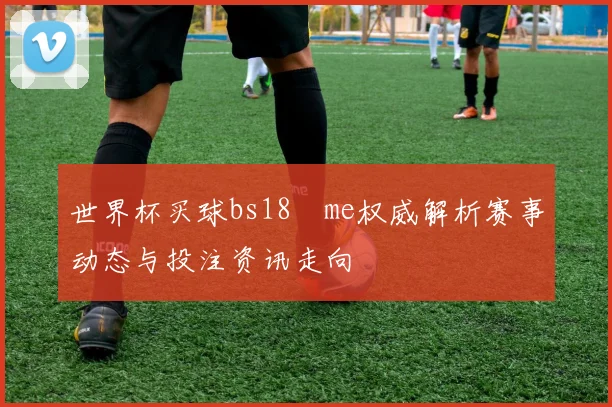 世界杯买球bs18婰me权威解析赛事动态与投注资讯走向
