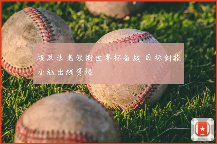 埃及法老领衔世界杯备战 目标剑指小组出线资格
