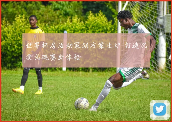 世界杯房活动策划方案出炉 打造沉浸式观赛新体验